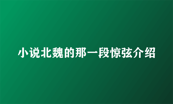 小说北魏的那一段惊弦介绍