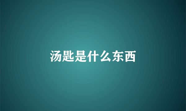 汤匙是什么东西