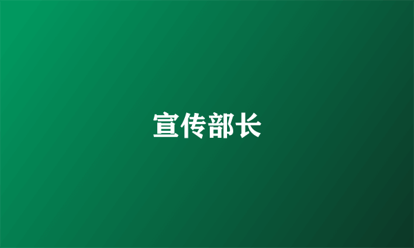 宣传部长