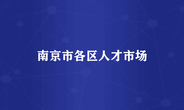南京市各区人才市场