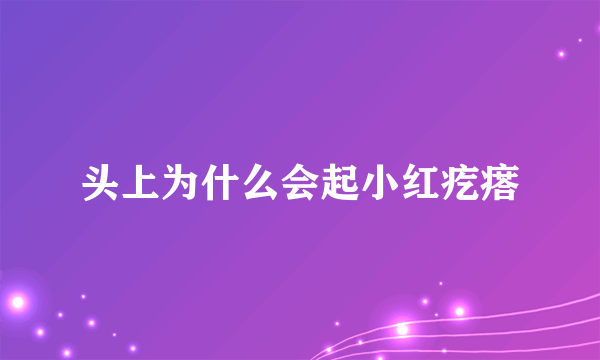 头上为什么会起小红疙瘩