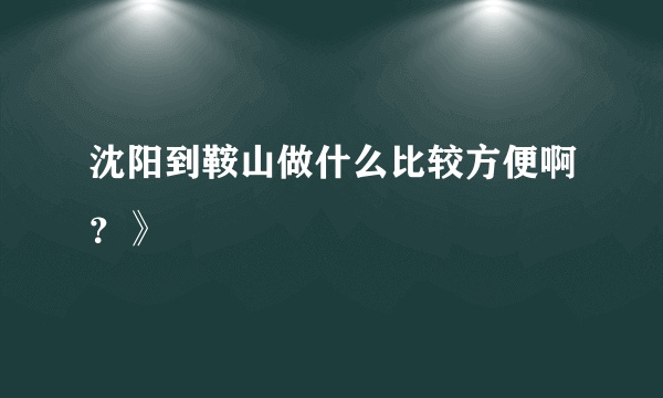 沈阳到鞍山做什么比较方便啊？》
