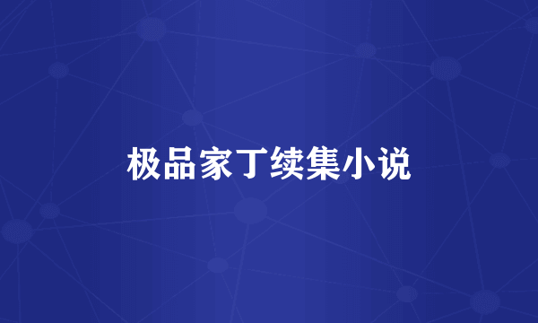 极品家丁续集小说
