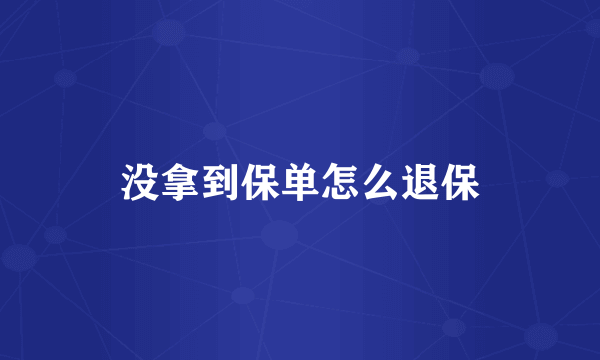 没拿到保单怎么退保