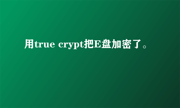 用true crypt把E盘加密了。