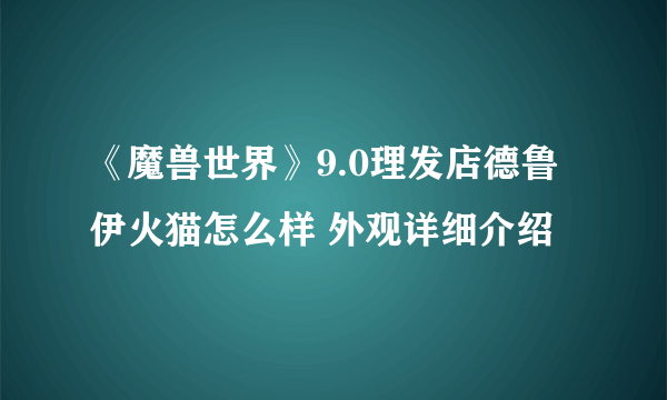 《魔兽世界》9.0理发店德鲁伊火猫怎么样 外观详细介绍