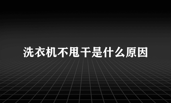 洗衣机不甩干是什么原因
