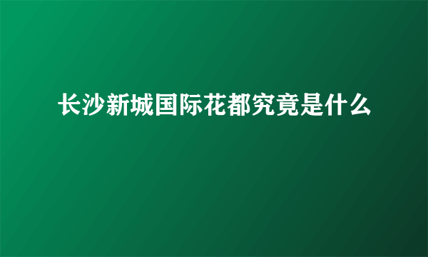 长沙新城国际花都究竟是什么