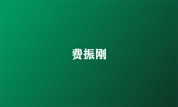 费振刚