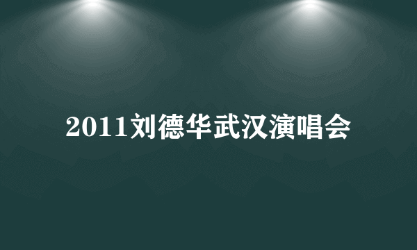 2011刘德华武汉演唱会