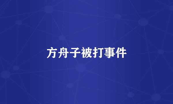方舟子被打事件