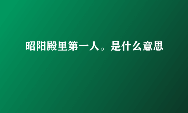 昭阳殿里第一人。是什么意思