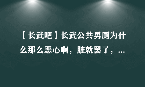 【长武吧】长武公共男厕为什么那么恶心啊，脏就罢了，还有很多莫名的电话号_长武吧_百度贴吧