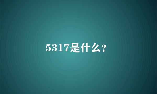 5317是什么？
