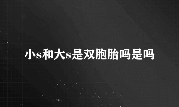 小s和大s是双胞胎吗是吗