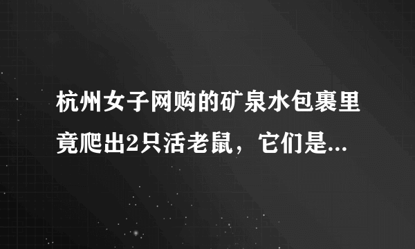 杭州女子网购的矿泉水包裹里竟爬出2只活老鼠，它们是如何进去的？