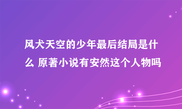 风犬天空的少年最后结局是什么 原著小说有安然这个人物吗