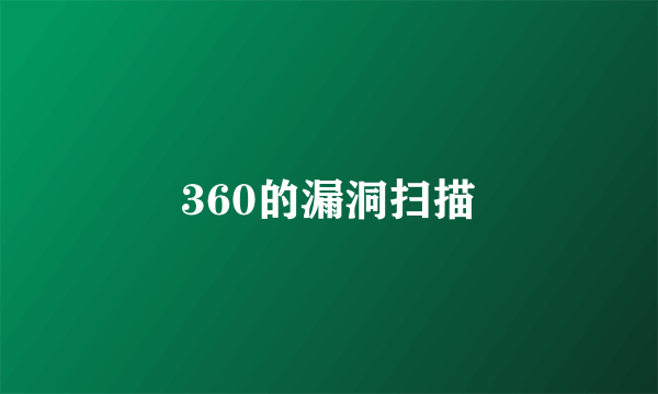 360的漏洞扫描
