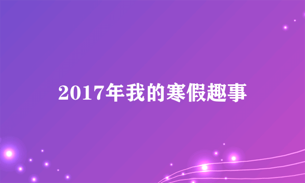 2017年我的寒假趣事