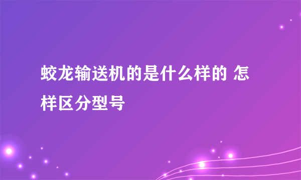 蛟龙输送机的是什么样的 怎样区分型号