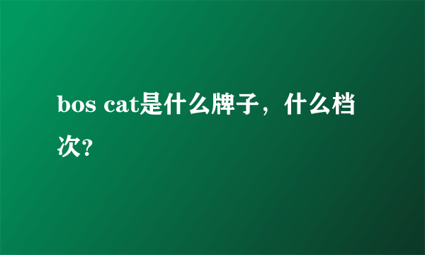 bos cat是什么牌子，什么档次？