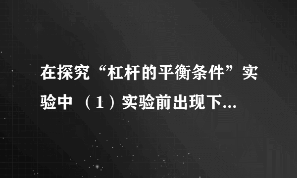 在探究“杠杆的平衡条件”实验中 （1）实验前出现下图甲所示情况，为了使杠杆在水平位置平衡，应将杠杆