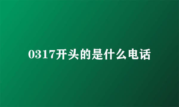 0317开头的是什么电话