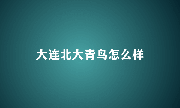 大连北大青鸟怎么样