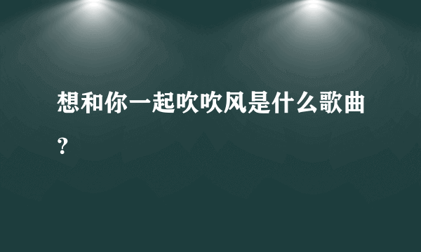 想和你一起吹吹风是什么歌曲？