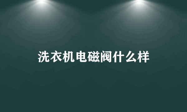 洗衣机电磁阀什么样