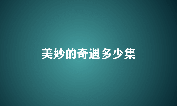 美妙的奇遇多少集