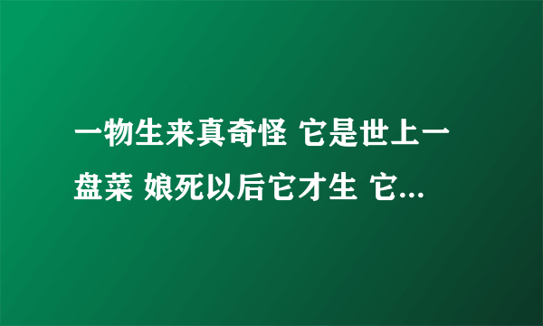 一物生来真奇怪 它是世上一盘菜 娘死以后它才生 它死以后娘还在 。打一蔬菜名