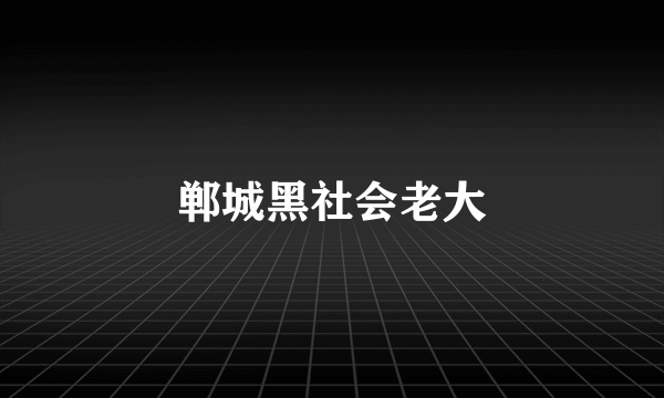 郸城黑社会老大
