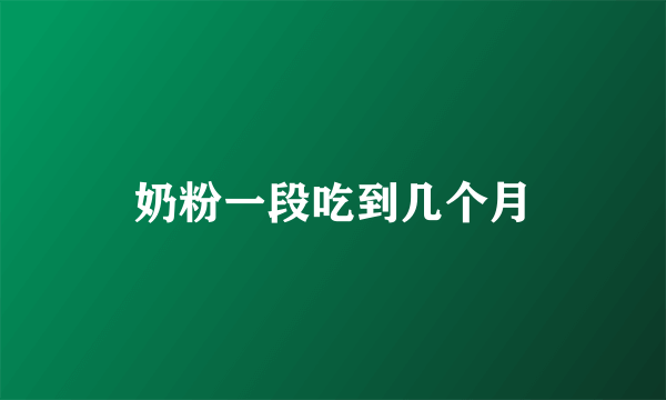 奶粉一段吃到几个月