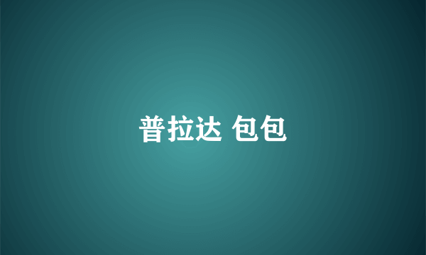普拉达 包包