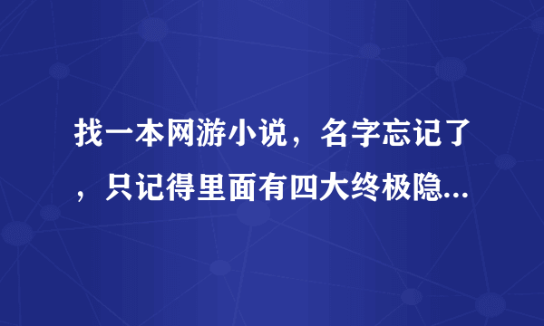 找一本网游小说，名字忘记了，只记得里面有四大终极隐藏职业，光暗圣者（主角）天空圣者，大地圣者，雾隐