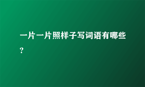 一片一片照样子写词语有哪些？