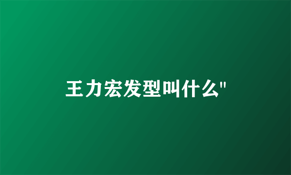 王力宏发型叫什么