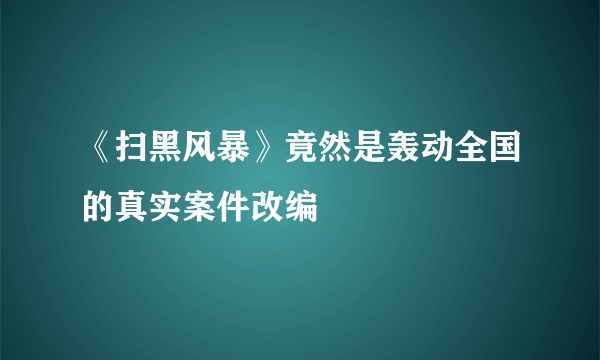 《扫黑风暴》竟然是轰动全国的真实案件改编