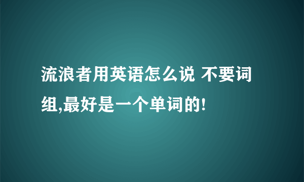 流浪者用英语怎么说 不要词组,最好是一个单词的!