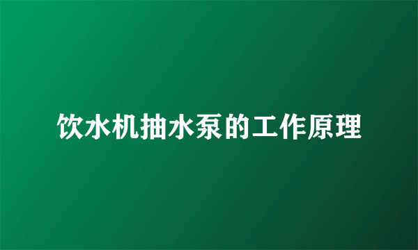 饮水机抽水泵的工作原理