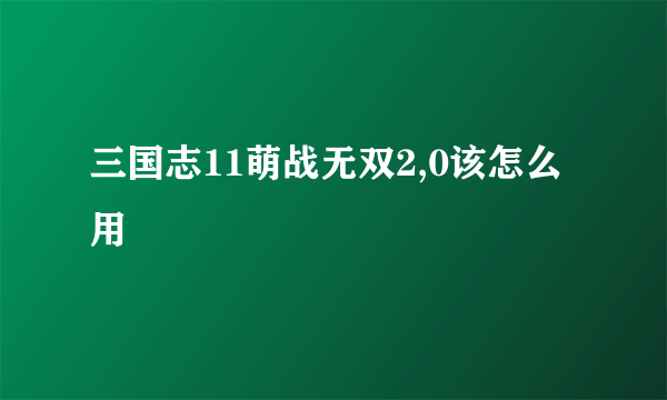 三国志11萌战无双2,0该怎么用