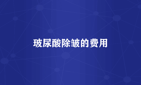 玻尿酸除皱的费用