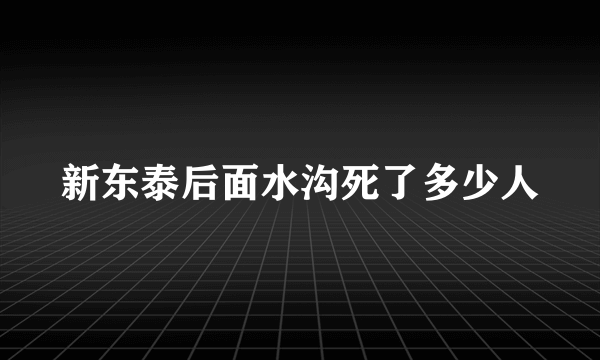 新东泰后面水沟死了多少人