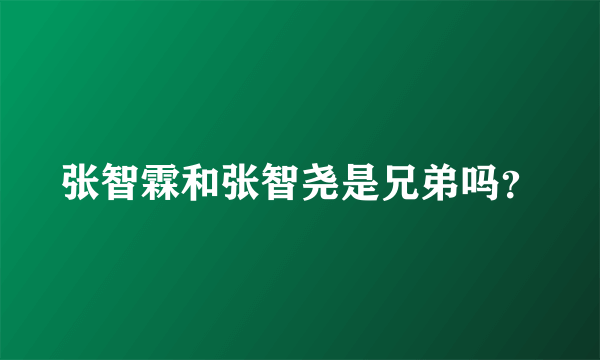 张智霖和张智尧是兄弟吗？