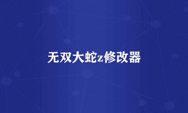无双大蛇z修改器
