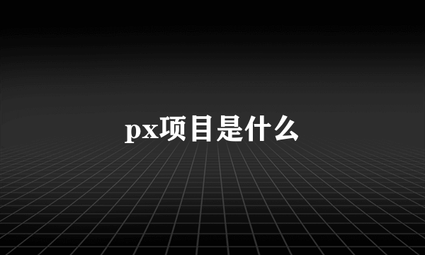 px项目是什么