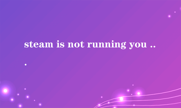 steam is not running you must start steam in order to play this game