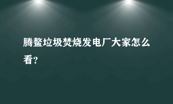 腾鳌垃圾焚烧发电厂大家怎么看？