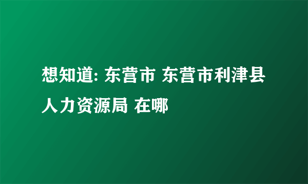 想知道: 东营市 东营市利津县人力资源局 在哪